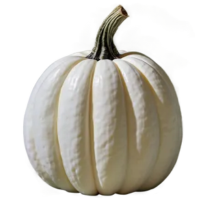 White Pumpkin Arrangement PNG 69 PNG