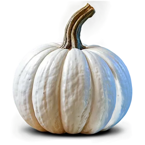 White Pumpkin Background PNG 06212024