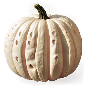 White Pumpkin Craft PNG 06212024