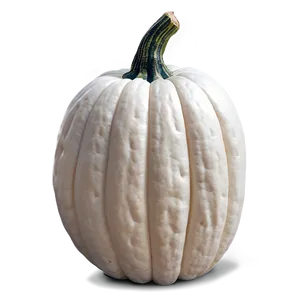 White Pumpkin Craft PNG Nrc