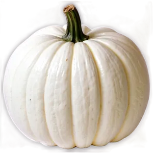White Pumpkin Display PNG Chk PNG