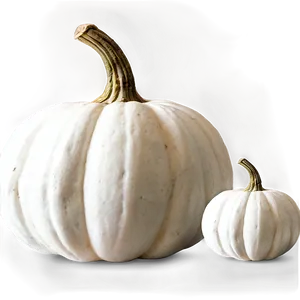 White Pumpkin Display PNG Qvl PNG