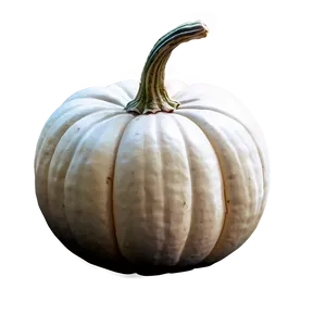 White Pumpkin Drawing PNG 06212024