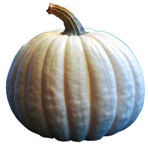White Pumpkin Farm PNG 06212024 PNG