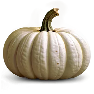 White Pumpkin Festive PNG Ghc PNG