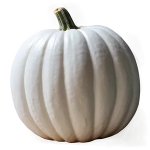 White Pumpkin For Fall PNG 06212024