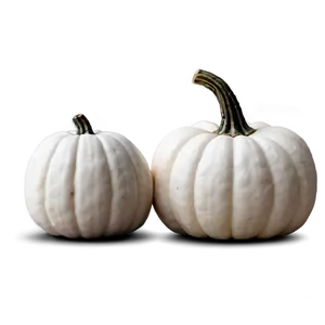 White Pumpkin For Fall PNG Jwr7 PNG