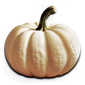 White Pumpkin For Halloween PNG 06212024 PNG