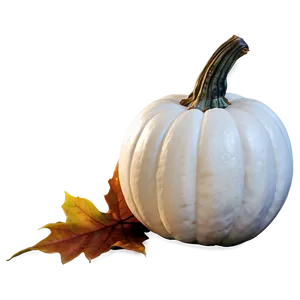 White Pumpkin For Thanksgiving PNG 06212024