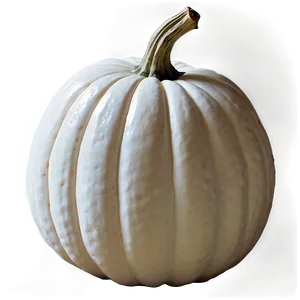 White Pumpkin For Thanksgiving PNG Qnt20 PNG