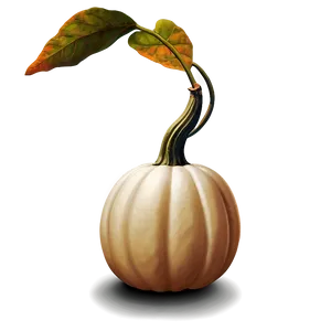 White Pumpkin For Thanksgiving PNG Xht29 PNG