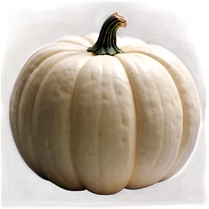 White Pumpkin On Vine PNG 80 PNG