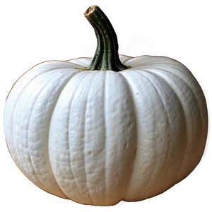 White Pumpkin Outline PNG Sne41 PNG