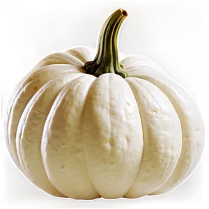 White Pumpkin Seed PNG 06212024
