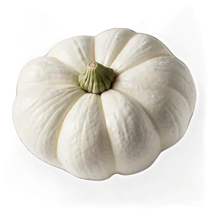 White Pumpkin Seed PNG 36