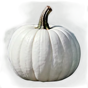 White Pumpkin Template PNG Pia PNG