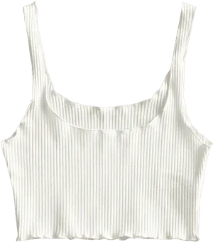 White Ribbed Crop Top
