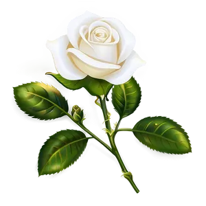 White Rose Clipart Png 64 PNG image