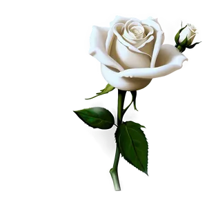 White Rose Flower Png Juy41 PNG image
