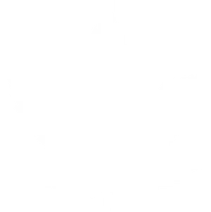 White Silhouette Maple Leaf PNG image