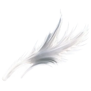 White Splash On Black PNG 06122024 PNG