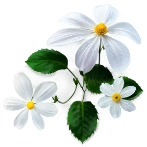 White Summer Flower PNG 59