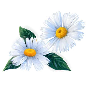 White Summer Flower PNG 63