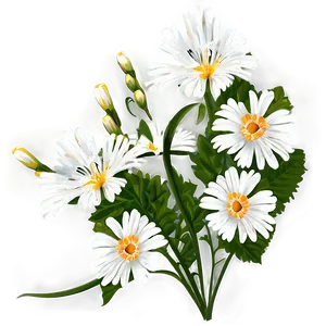 White Summer Flowers Png 05242024 PNG image