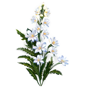 White Summer Flowers Png Btt69 PNG image