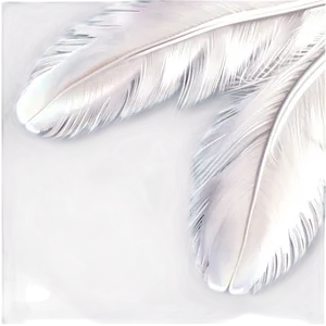 White Swan Feather Png 05042024 PNG image