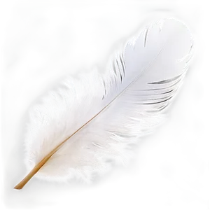 White Swan Feather Png Tlv PNG image