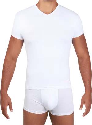 White T Shirtand Underwearon Mannequin PNG image