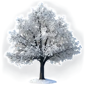 White Tree B PNG