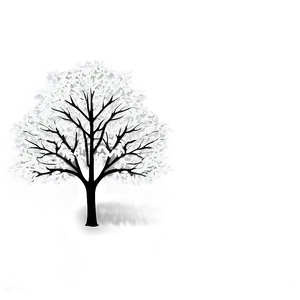 White Tree Canopy Overhead PNG 06252024