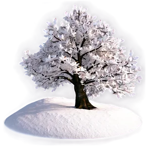 White Tree In Four Seasons Png 06252024 PNG image