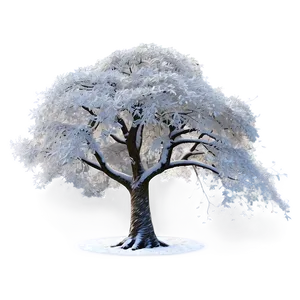 White Tree In Four Seasons PNG Aja PNG
