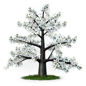 White Tree In Spring Bloom PNG Yid