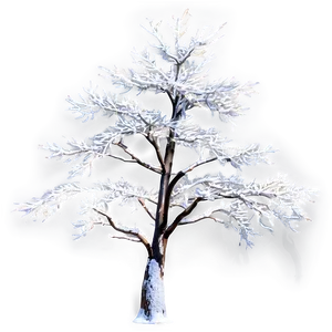 White Tree In Sunlight Glow Png 06252024 PNG image