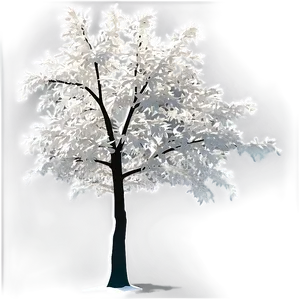 White Tree In Sunlight Glow PNG 81