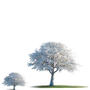 White Tree In Sunlight Glow Png Itn PNG image