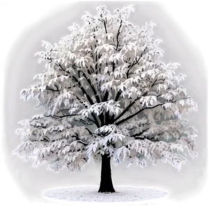 White Tree In Urban Setting PNG 06252024