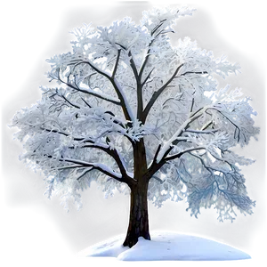 White Tree In Winter Wonderland Png 72 PNG image