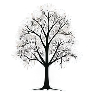 White Tree Outline Clipart Png 94 PNG image