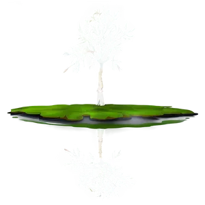 White Tree Reflection In Water PNG 06252024 PNG