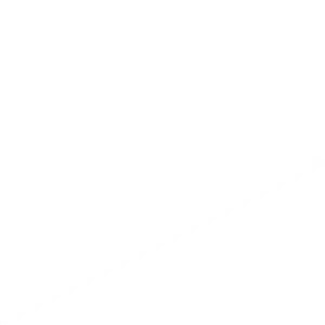 White Triangleon Gray Background PNG