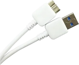 White U S B Cablewith Adapter Blocks PNG image