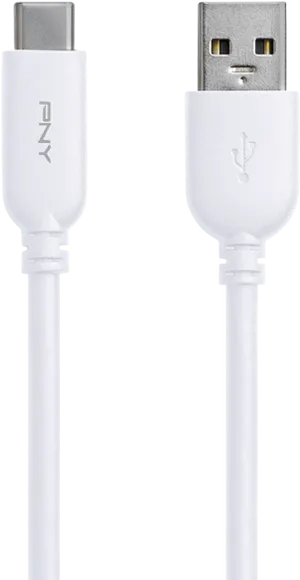 White U S B Cto U S B A Cable PNG image