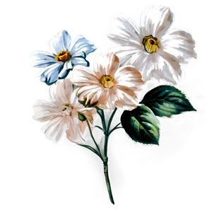 White Vintage Flower PNG Kjk