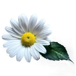 White Vintage Flower PNG Nge12