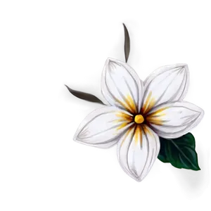 White Watercolor Flower PNG Nlg44